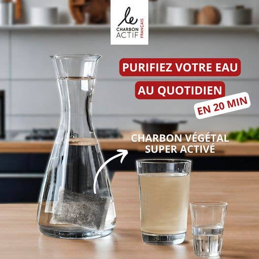 Bijin - Wholesale Water filter - Pack of 2 Super Activated Vegetable Charcoal Water Filters1