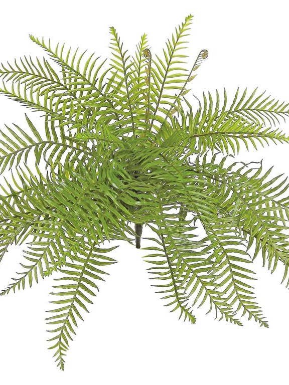Mountain Fern, Large, 15", Green for wholesale by Select Artificials, Inc.