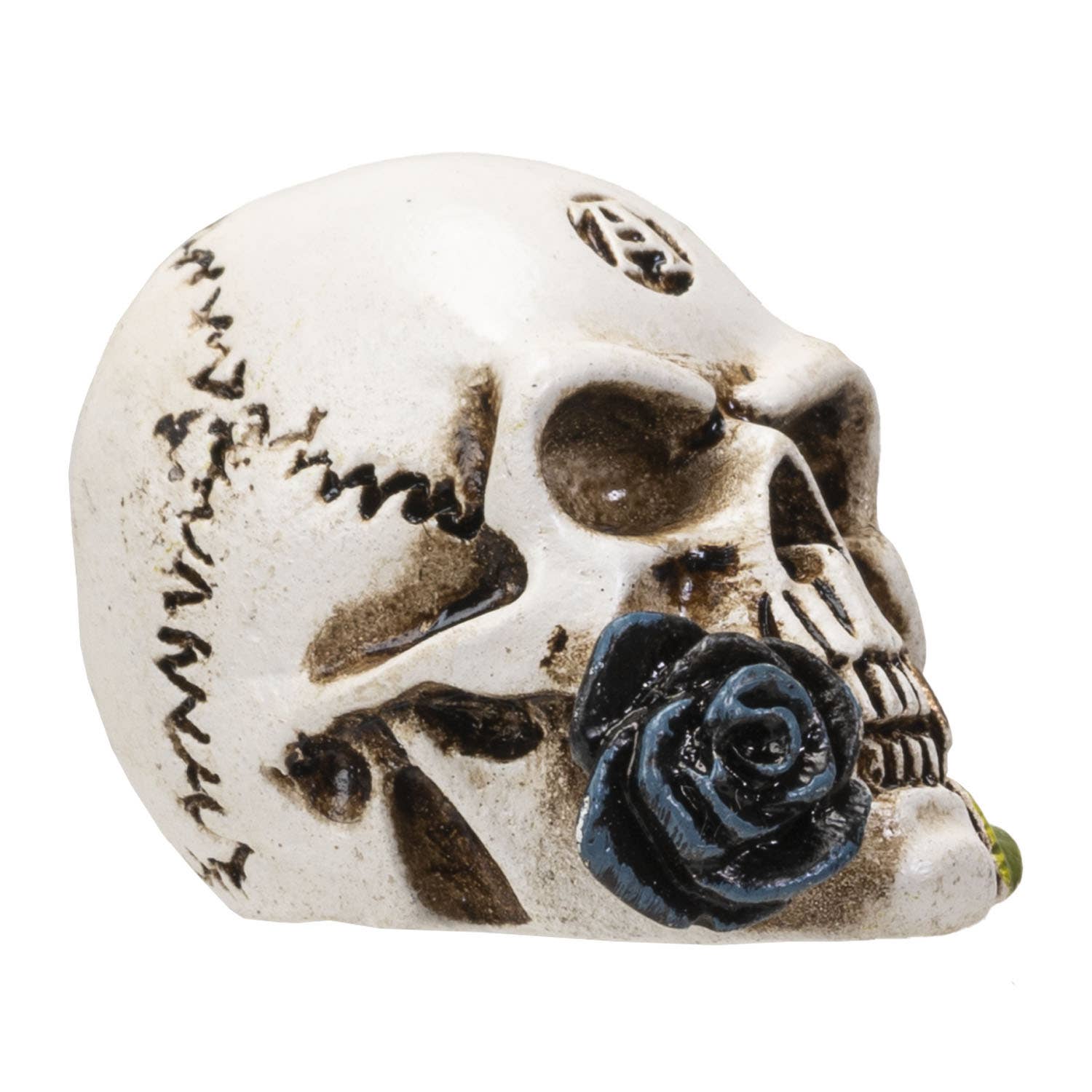 Pacific Trading - Wholesale Decorative Figurine - Alchemy Skull Mini2