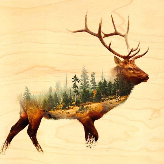 Wood Deer Forest Postcard for wholesale by Hironwoods