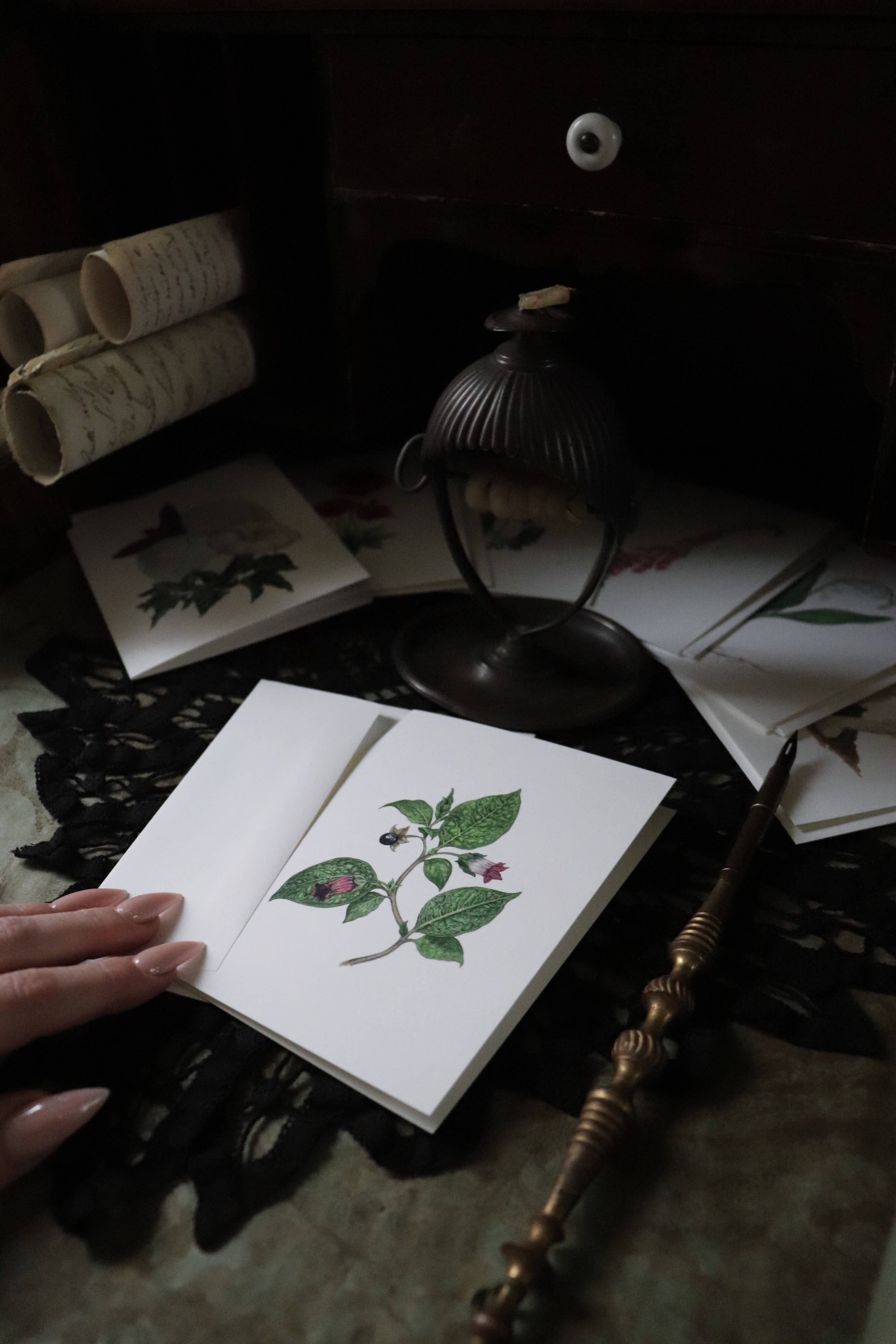 Open Sea - Wholesale Everyday Greeting Card - Deadly Nightshade Poison Greeting Card1