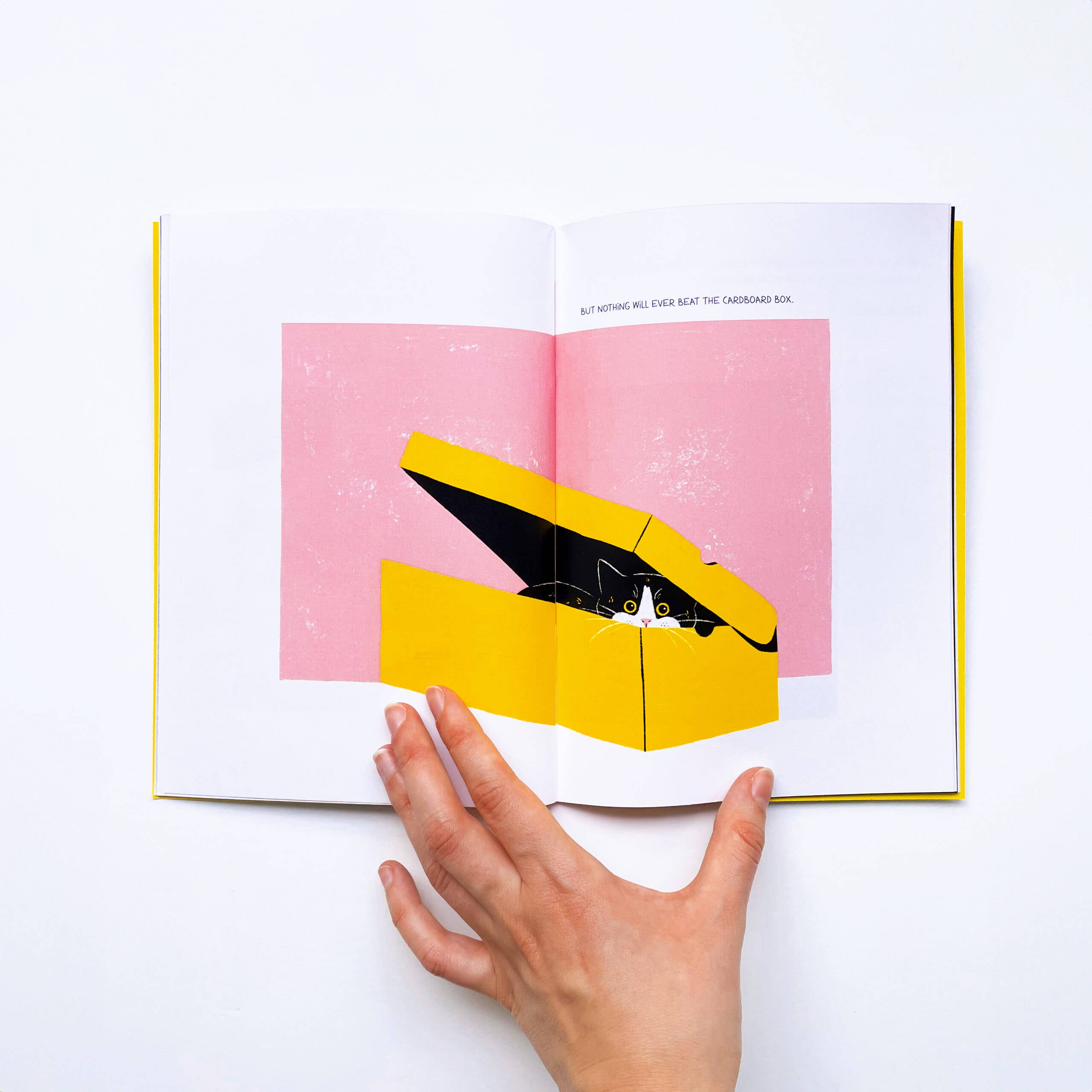 felgsara – wholesale Husdjur – Bok "Livet med en katt"3