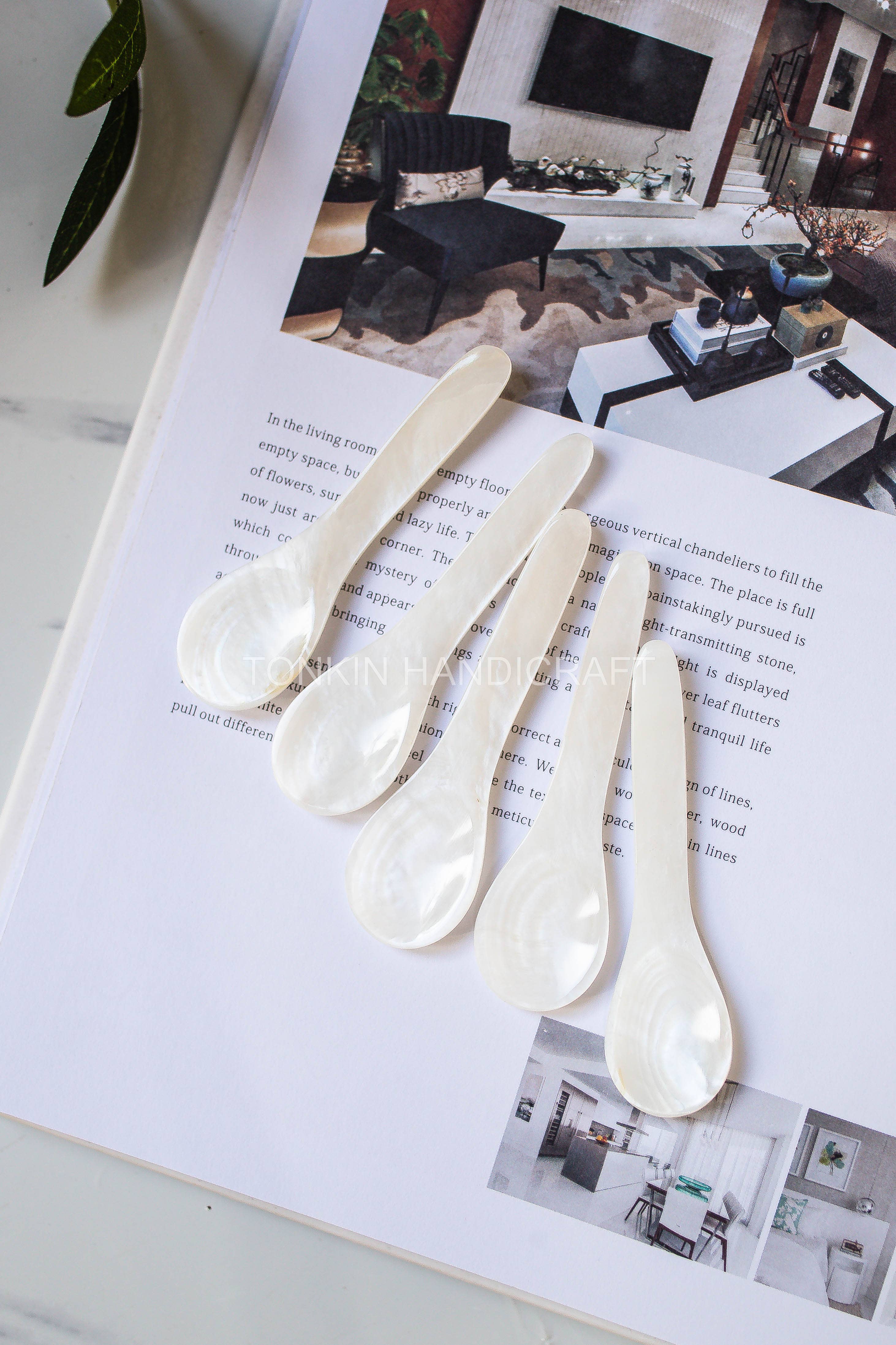 Tonkin Handicraft – Colher de mesa (talheres) por atacado – Colher Mun de Concha para Caviar4