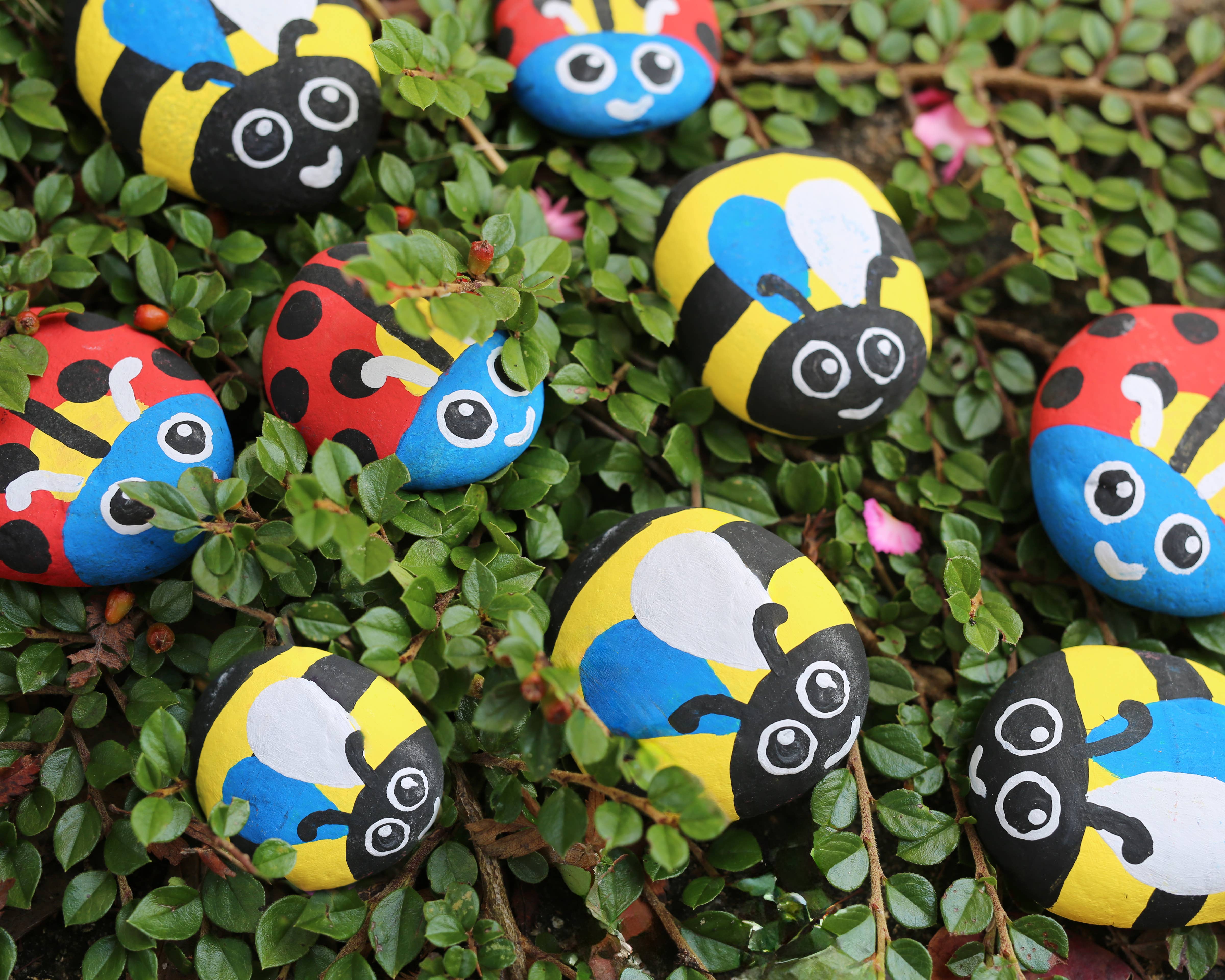 West Design Products – wholesale DIY craft kit – Child – Royal Horticultural Society Rock Painting Kit - Bugs4