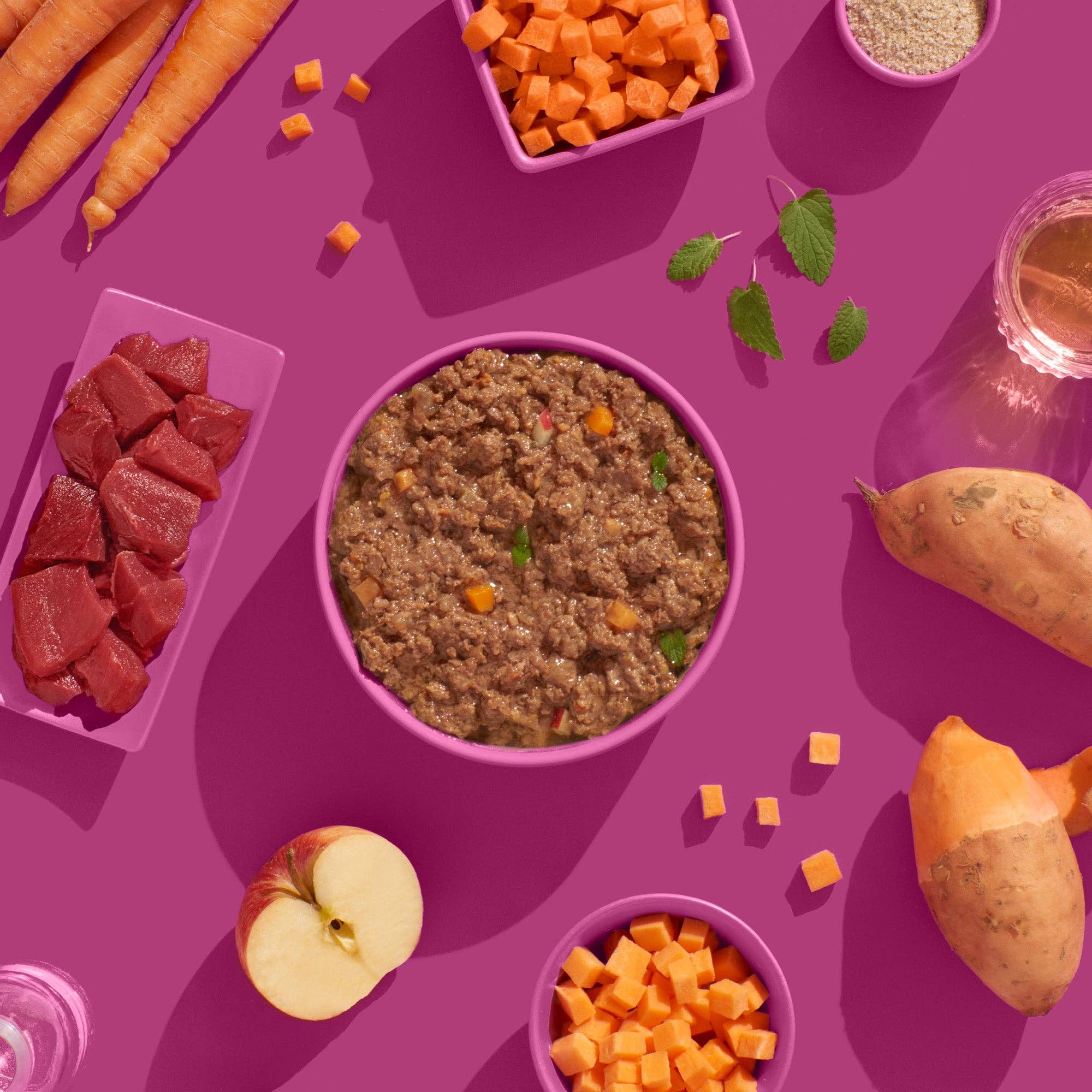 FRED & FELIA – comida - Gato por atacado – FELIA Cavalo2