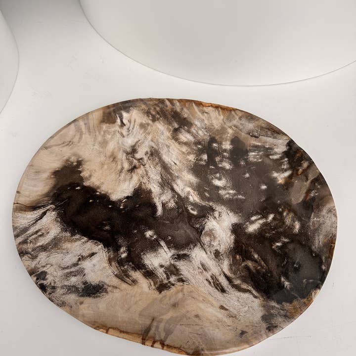 Office Objets - Wholesale Decorative Plate/Dish/Bowl - Very large catchall or dish in petrified wood16
