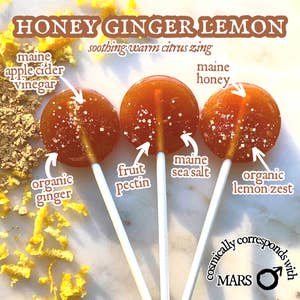 Wholesale Honey Bee Lollipop for your store - Faire
