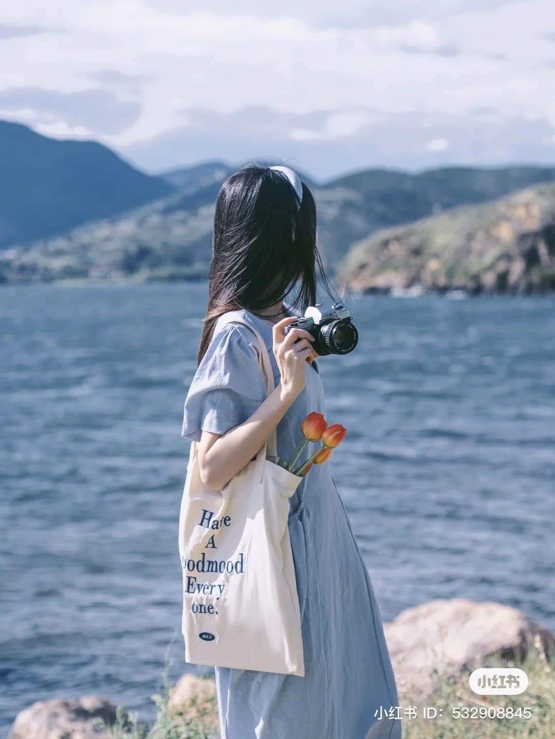 H-H - Wholesale Tote Bag - Unisex - Tote Shopping Bag ( 284TV/HH), blank bag.6