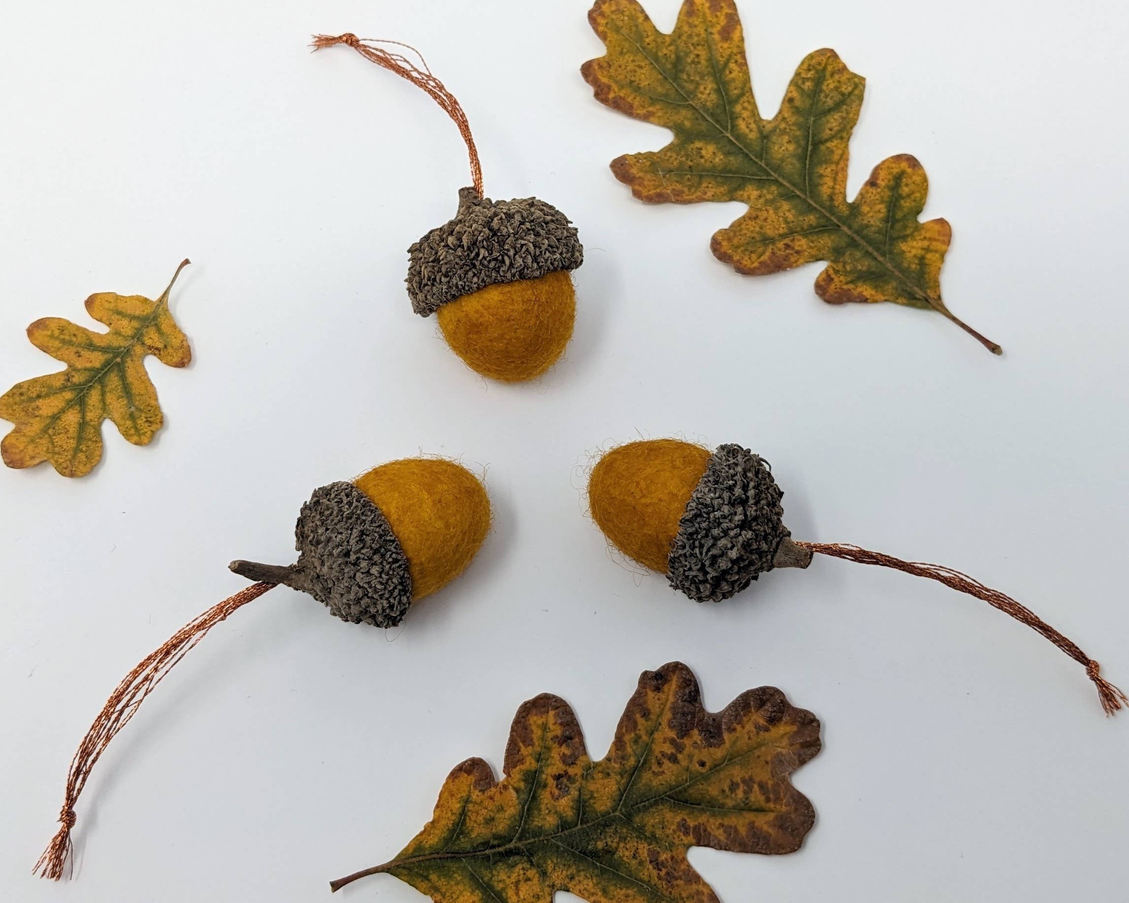 Odd Fox & Fern - Wholesale Ornament - Naturally Dyed Felt Acorn