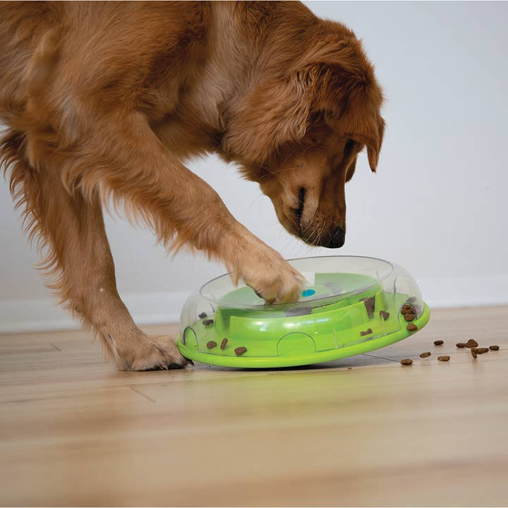 Pet Palette Distribution - Wholesale Pet Bowl - Cat/Dog - Nina Ottosson Wobble Slow Feeder Bowl Dog Game Blue/Green