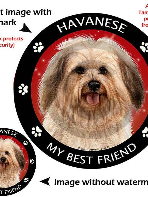 Havanese My Best Friend Circular Magnet for wholesale by Pet Gifts USA, LLC