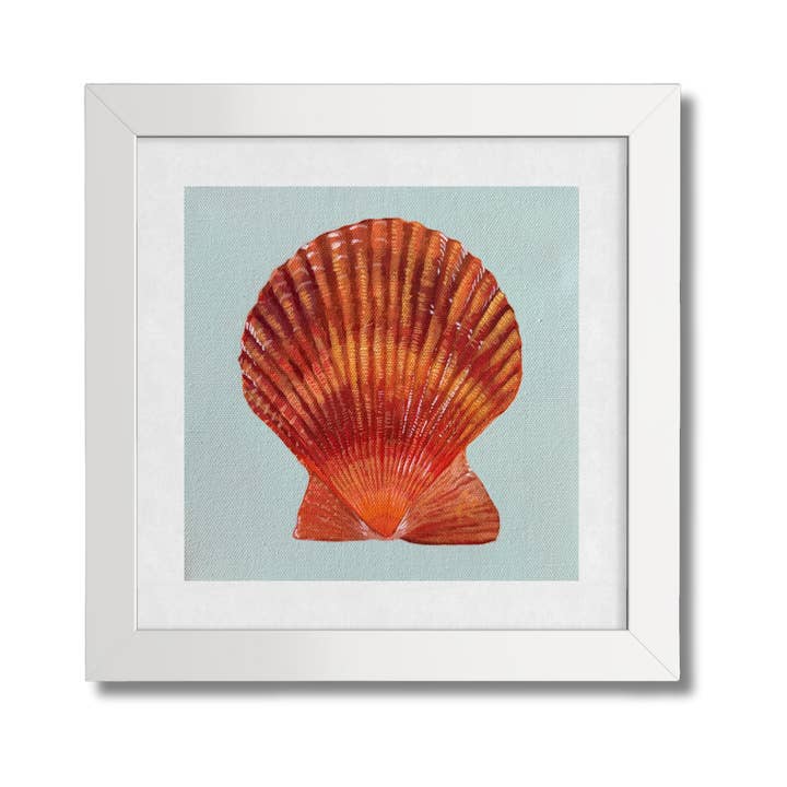 Scallop No. 1 Art Print for wholesale by Jessie Perez Art