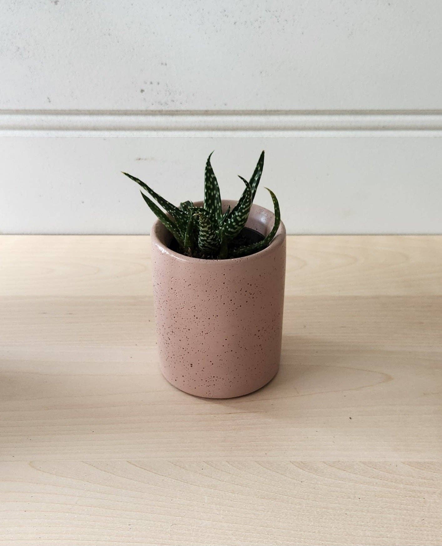 Plant 'er Here - Wholesale Plant Pot - Cylinder Planter- 3" 5" 7" Blush & Olive7