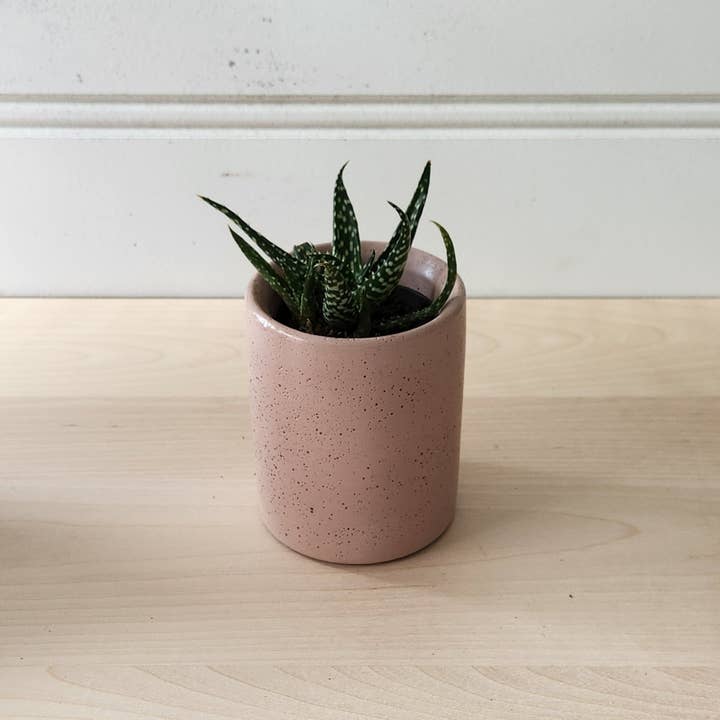 Plant 'er Here - Wholesale Plant Pot - Cylinder Planter- 3" 5" 7" Blush & Olive7