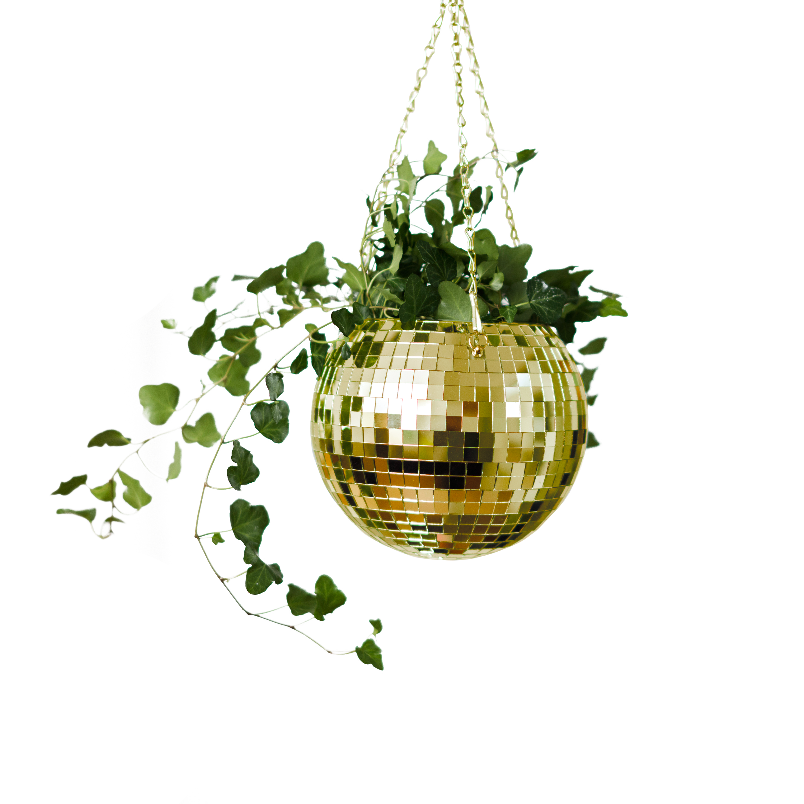 Bubblegum Stuff UK – Großhandel Pflanzenampel – Disco-Kugel Hängepflanzgefäß Gold 8-Zoll | Wohnaccessoire Geschenk7