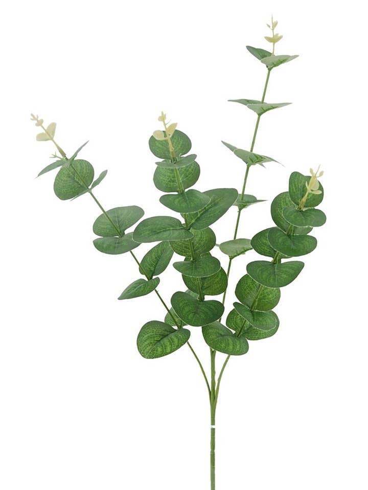 R.Eucalyptus X4 Green 70cm (33) for wholesale by Aguilar Málaga