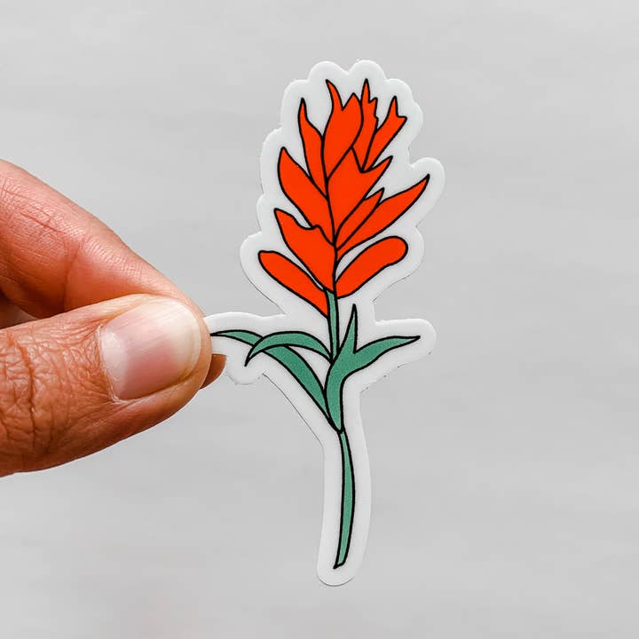 Wildflower Paper Company - Wholesale Sticker - Indian Paintbrush Flower Wildflower Sticker2