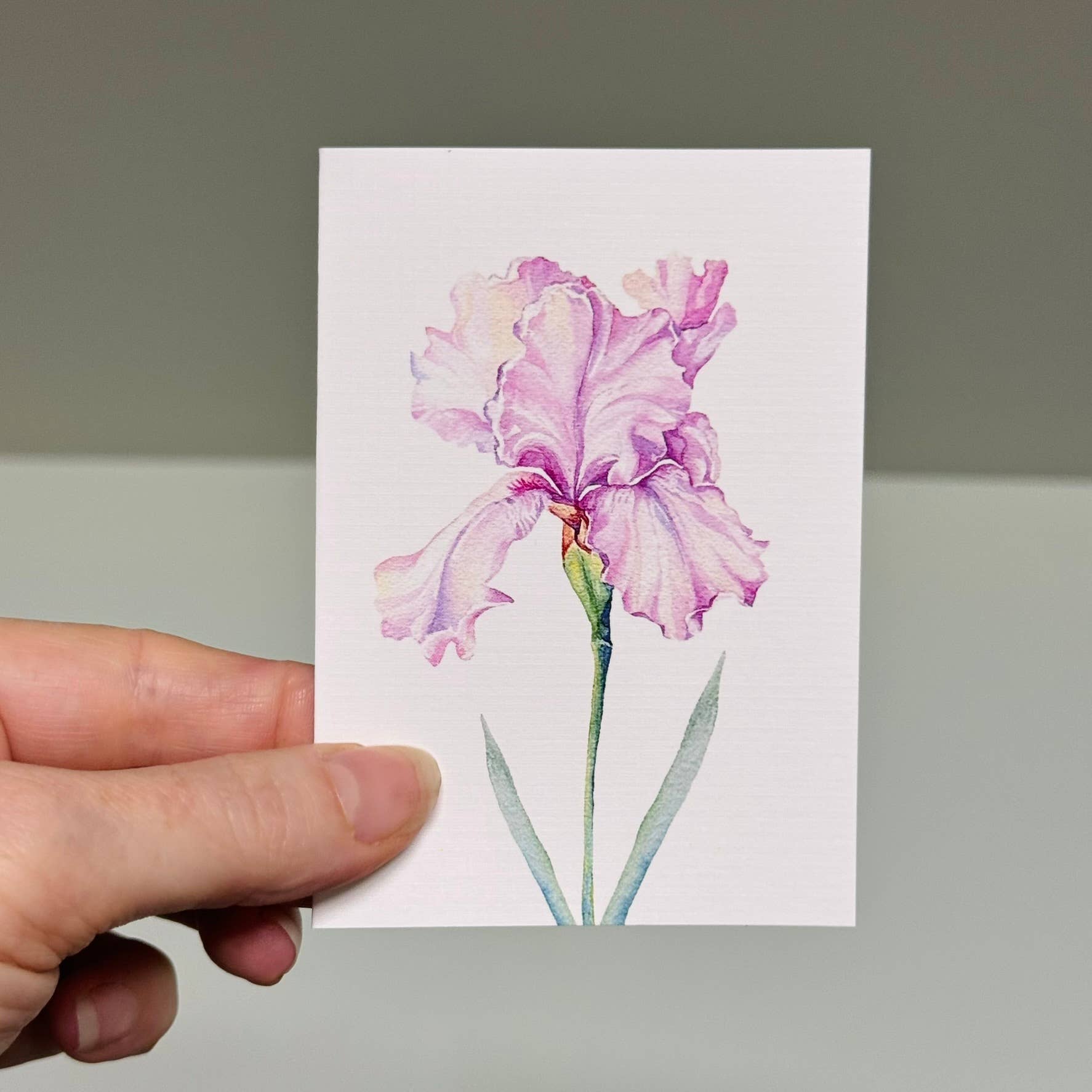 Scattered Seed Co - Wholesale Stationery/Notecard Set - IRIS greeting cards set of 4 Mini or Regular size3
