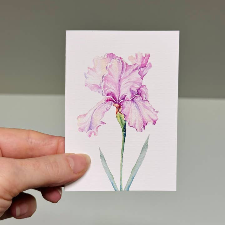 Scattered Seed Co - Wholesale Stationery/notecard set - IRIS greeting cards set of 4 Mini or Regular size3