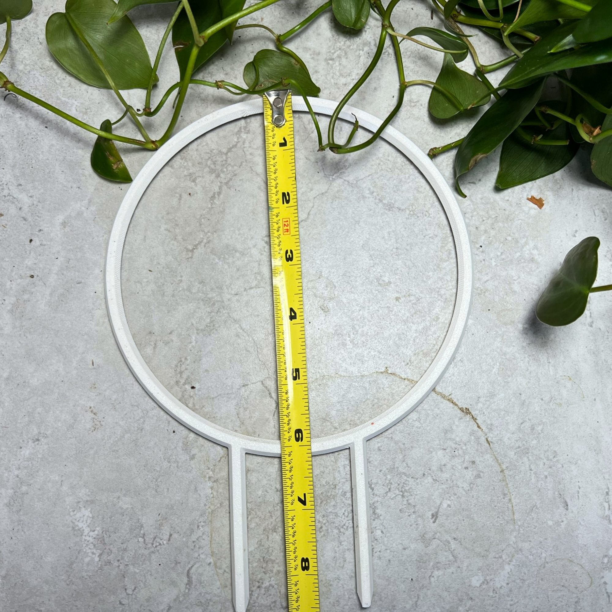 Floraform Creations - Wholesale Trellis - Hoop Shaped Eco-Friendly Lightweight Houseplant Trellis 2