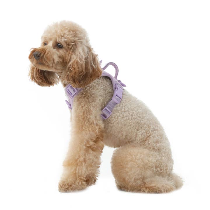 PEHOM - Wholesale Pet Harness - Dog - NO PULL ACTIVE DOG HARNESS - MINT PURPLE