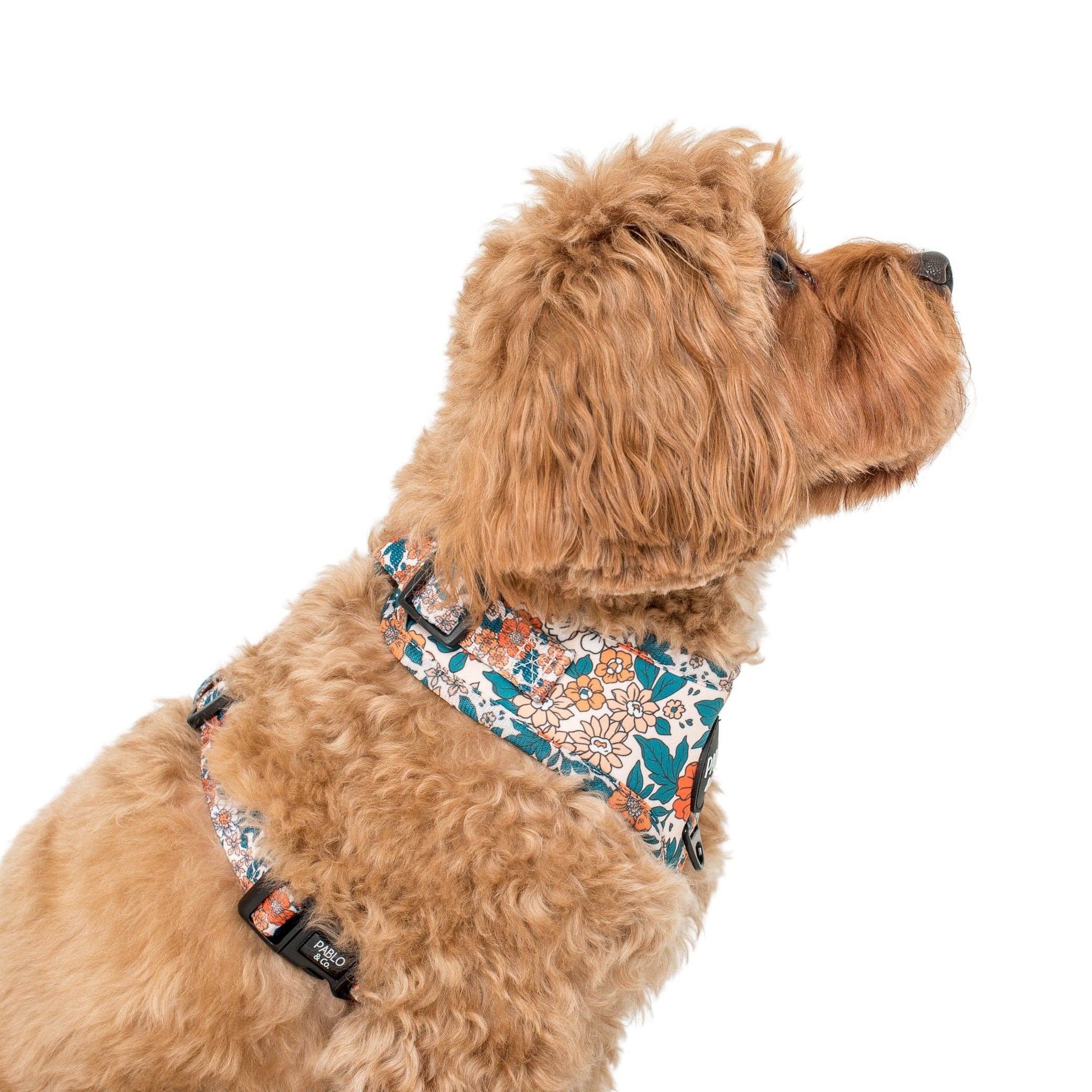 Pablo & Co. Boutique - Vendita all'ingrosso Pettorina - Cani - Wildflowers: Pettorina Regolabile per Cani2