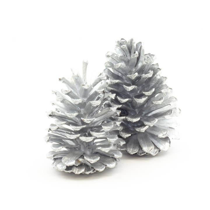 Winter Woods - Wholesale Decorative Tabletop Object - Ponderosa Pine Cones1