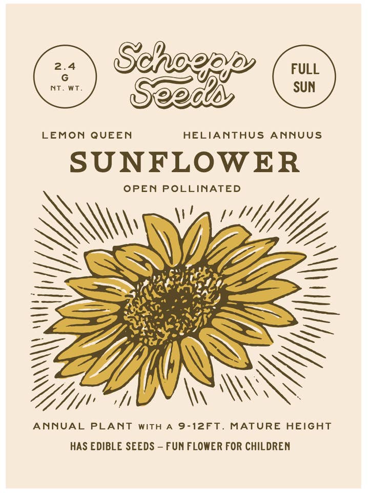 Sunflower, Lemon Queen Seed Packets for wholesale by Schoepp Seeds