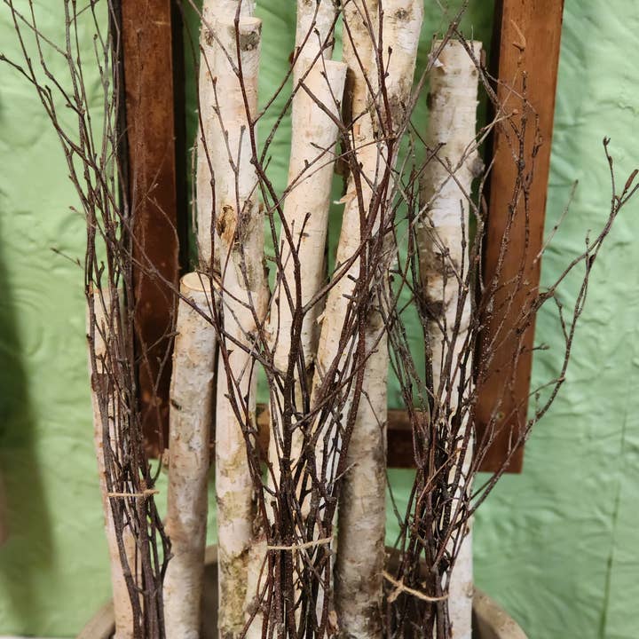 Northwoods Natural Accents - Wholesale Planter Box - Birch Poles 4ft x 1-2" Diameter1