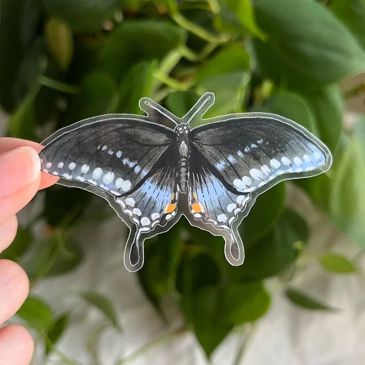 Lauren Noel Studio - Wholesale Sticker - Spicebush Swallowtail Butterfly Sticker0