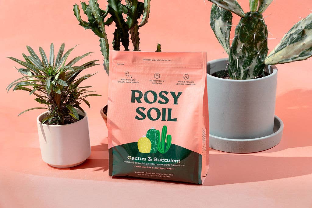 Rosy Soil - Vente Terreau de plantation/rempotage - Mélange biologique pour cactus et plantes succulentes, 4 pintes5