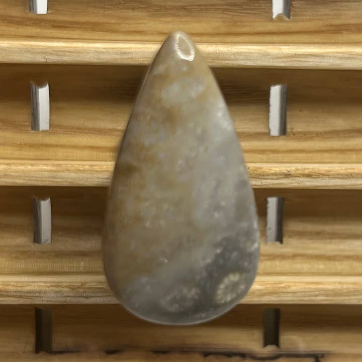 Clip de ventilation de voiture en cabochon de corail fossilisé, clip de voiture en cristal pour la vente par Crystals of the Mines LLC