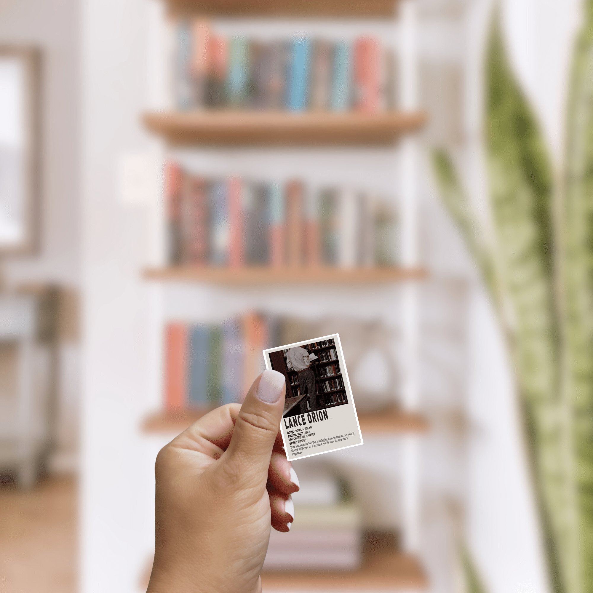 Awfullynerdy.co - Wholesale Sticker - Zodiac Academy Jongens Geïnspireerde Poster Sticker Bundel1