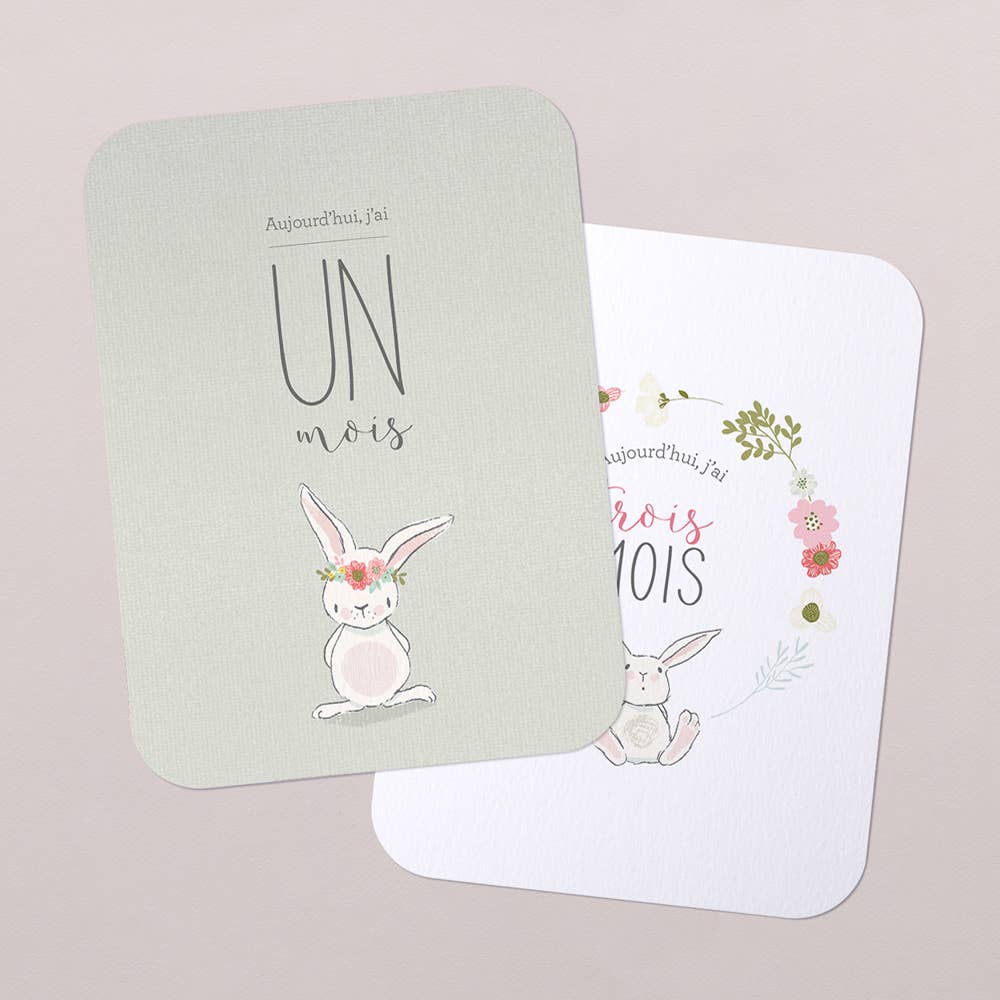 Cotton Bird – wholesale Milestone art/keepsake – Child & baby – First year stage cards - Little Bunny0