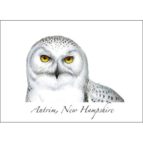 Snowy Owl for wholesale by Earth Sky + Water