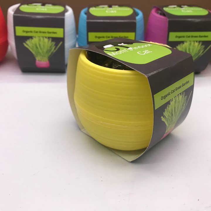 Mom’s Indoor Cat - Wholesale Pet Treats - Cat - Cat Grass Garden Balls