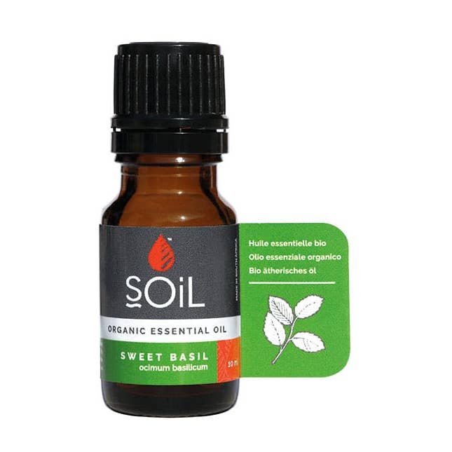 SOiL Organic Aromatherapy – wholesale Essential oil – Sweet Basil Organic Essential Oil0