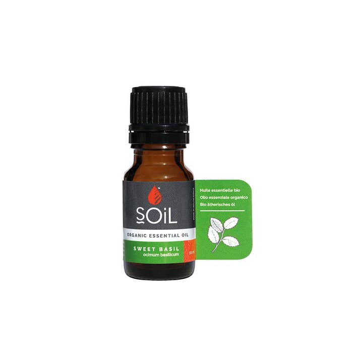 Sweet Basil Organic Essential Oil for wholesale by SOiL Organic Aromatherapy