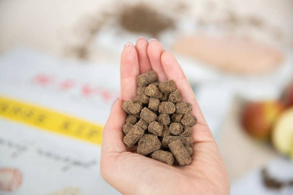 Kivo Petfood - Wholesale Pet Food - Dog - Fresh Chicken - Cold Pressed - Gluten Free2