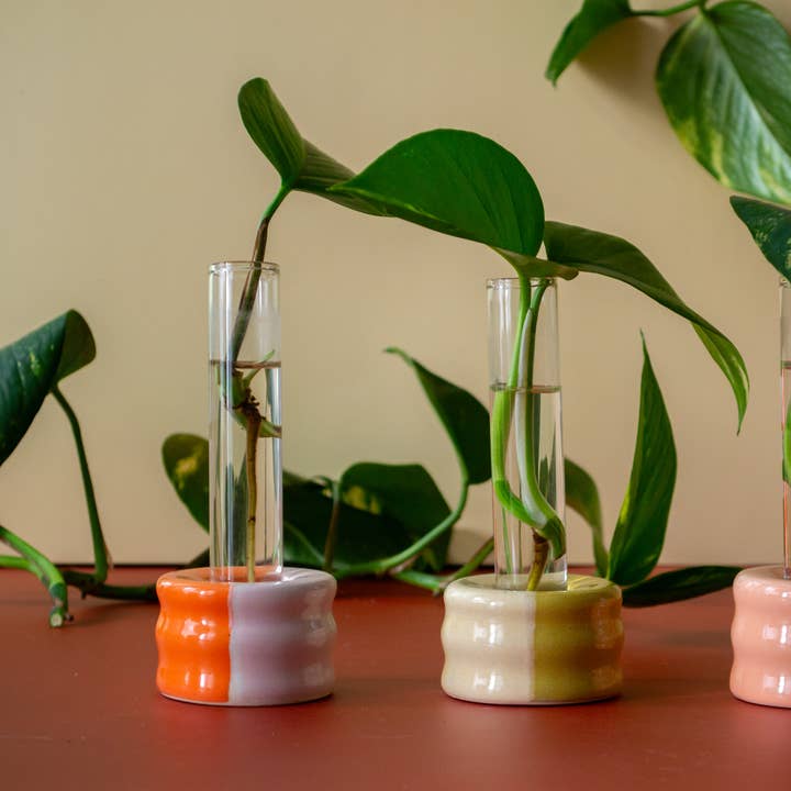 Ceramic Propagation Stand with Glass Test Tube for wholesale by Castoe Pots