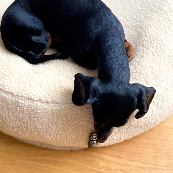 JAfein!® Dogs & Style - Venta al por mayor Cama - Perros - ¡Sí, Fein! Cama para perros color crema Teddy de Versailles