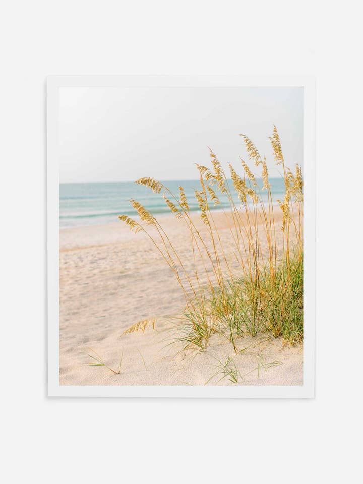 Giornata in spiaggia per la vendita all'ingrosso da parte di Coastal Calling