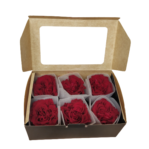 Concari.flores Preservadas - Wholesale Artificial Flowers - PRESERVED GARDEN ROSE1
