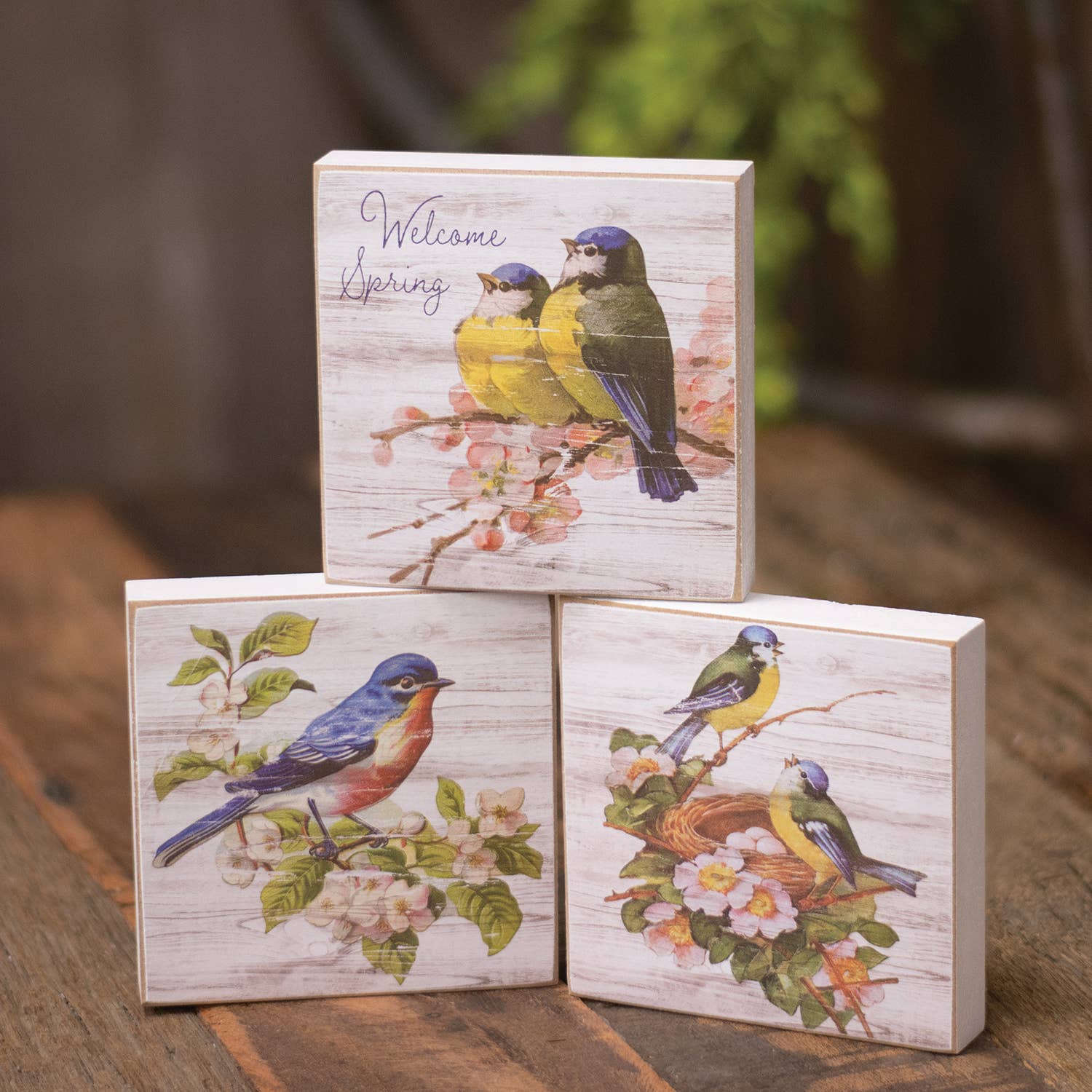 The Hearthside Collection - Vente Décorations de table - Welcome Spring Bluebird Square Block - 3 Asstd.1