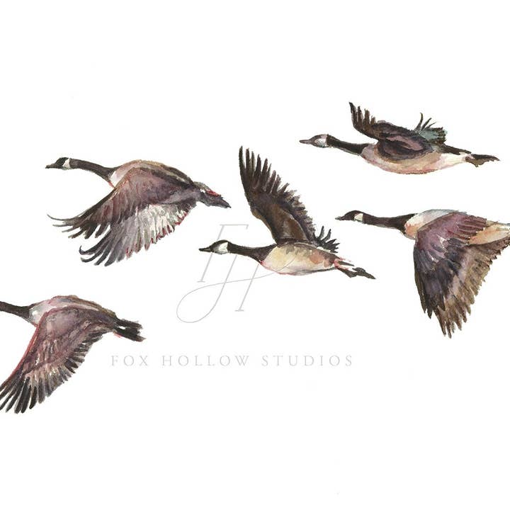 Tabitha Paige - Wholesale Art Print - Geese Art Print1
