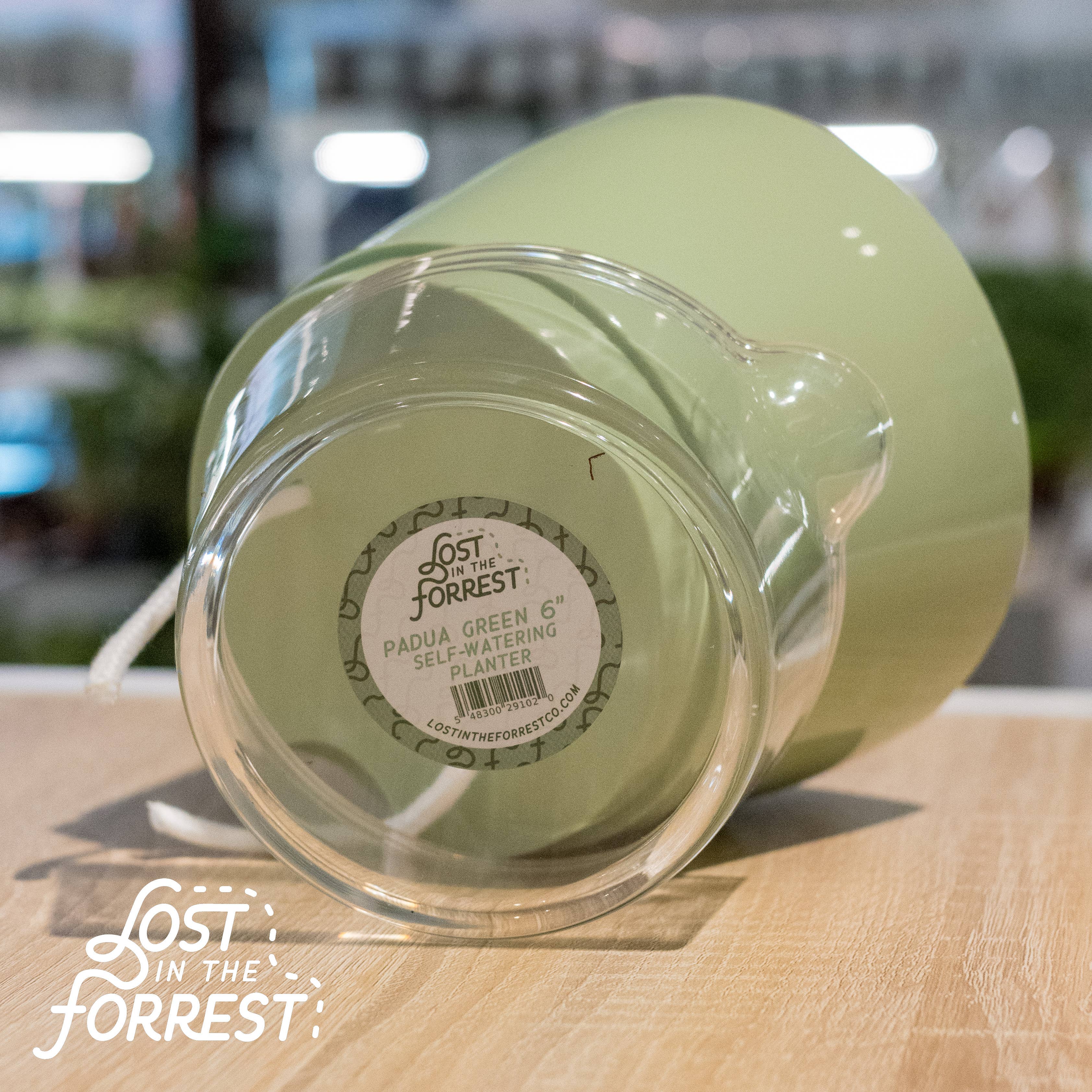 Lost in the Forrest - Vendita all'ingrosso Vasi per piante - Fioriera autoirrigante Padua 6"3