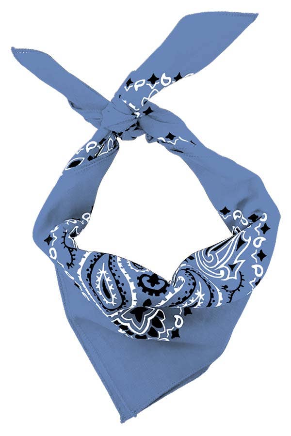 The Bandanna Company - Wholesale Bandana - Unisex - Bandanna - 22" MADE IN USA - Chambray Paisley1