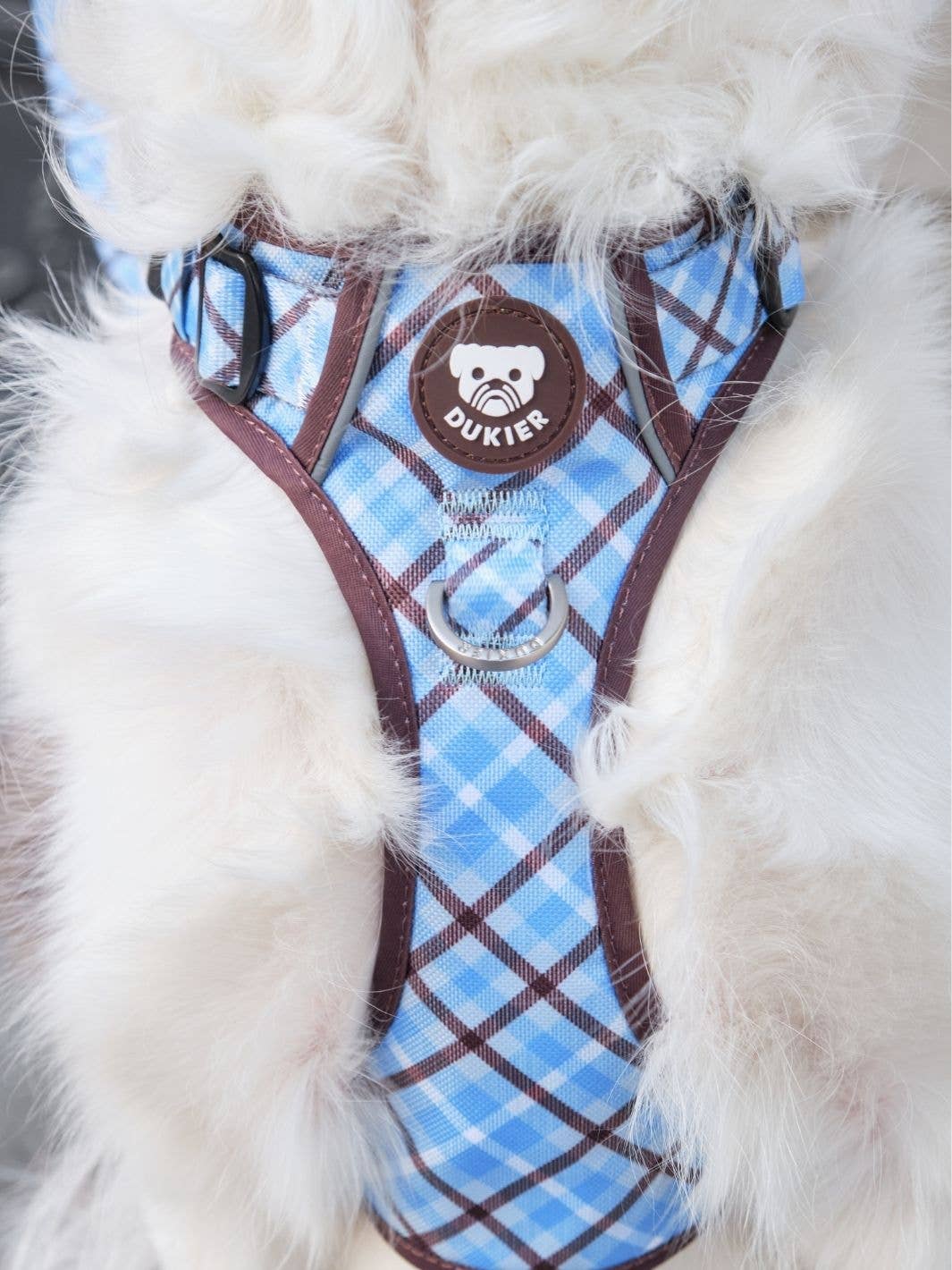 Dukier – Arnês – Cão por atacado – ARNÊS TRAIL PARA CÃO TARTAN BLUE MOCCA4