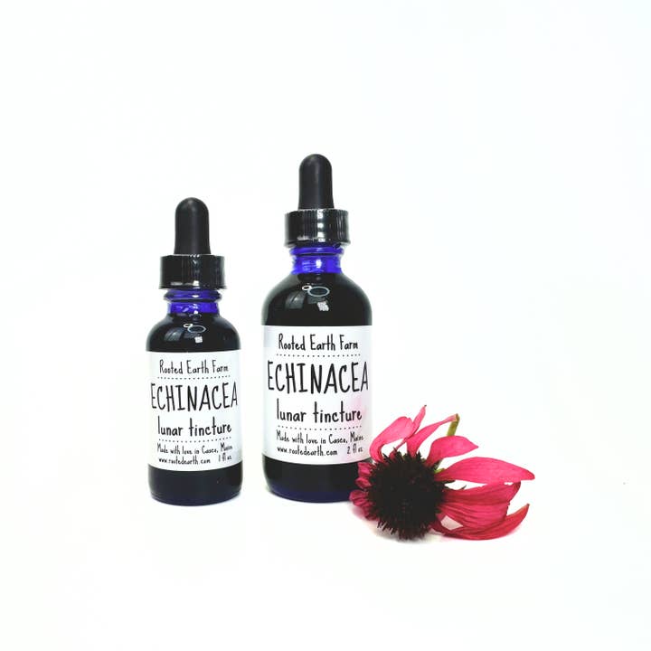 Rooted Earth Farm + Apothecary - Wholesale Tincture - Echinacea Tincture - 2 Size Options