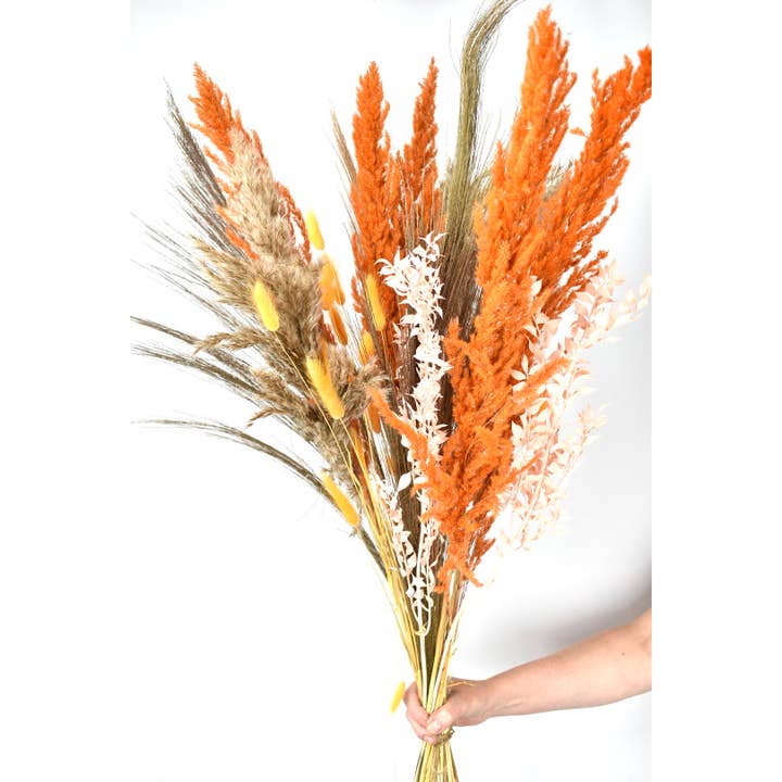 Dutch Flower Studio - Wholesale Gedroogde/geperste bloemen - Droogbloemen - Boeket - Decoratie - Pluimen - Pampas gras4